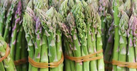 With these simple tips on how to grow asparagus from every year, during spring, when growing asparagus it should be fed with a good fertilizer such as. Asparagus fertilizer recommendations ~ Agri-Science Reference