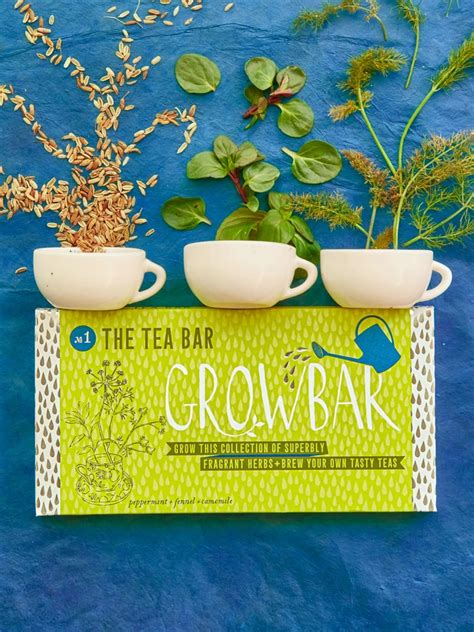 Grow Your Own Tea Garden Growbar Holly And Co