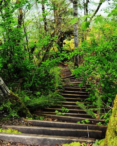 Pathway To Peace Photograph By Moeg Photography Fine Art America