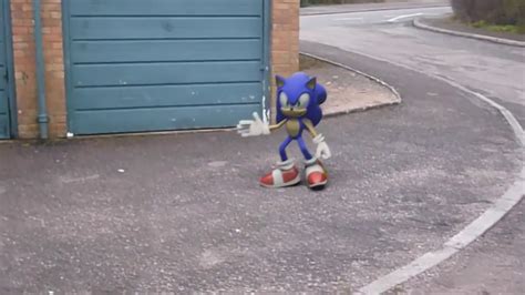 100 Real Sonic The Hedgehog On Camera Youtube