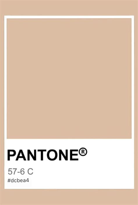 Pantone Skin Tone 57 6 C Pantone Colour Palettes Nude Color Palette