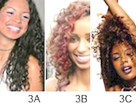 All Natural Curly Hair Care 3a Hair Type 3b Hair Type 3c Etsy