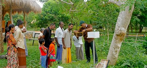 Responsible Rural Village Tours In Sri Lanka Authentic Village Tours