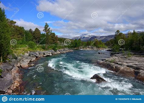 Mountain River On The Background Of Summer Forest Green Trees And Blue