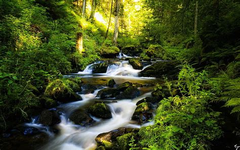 1920x1080px 1080p Free Download Forest River Stream Rock Nice