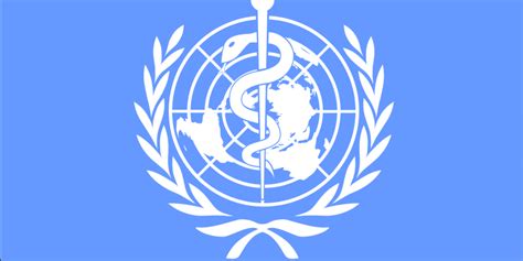 World Health Organization Who Ncd Alliance