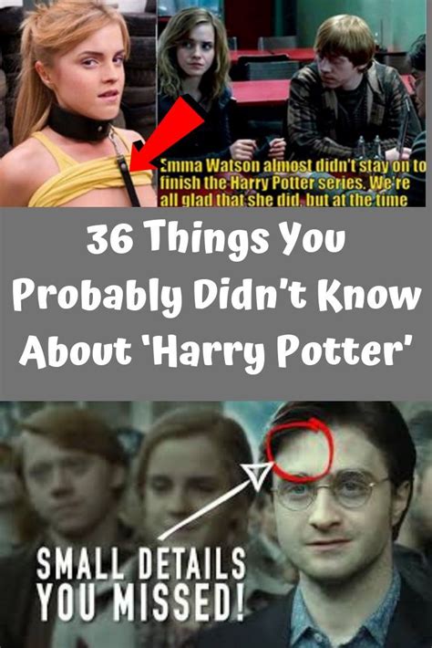 36 Things You Probably Didnt Know About ‘harry Potter Facts Harry