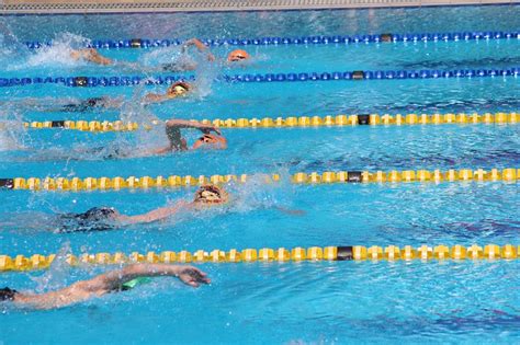 Long Course Swimmers Compete At Championships Namibian Sun