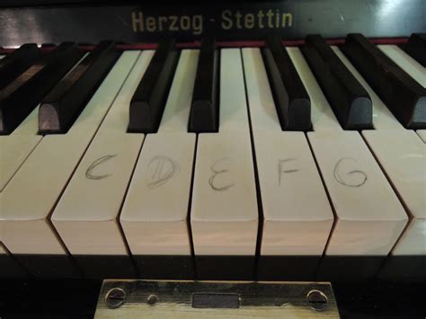 Klicke auf notennamen ausblenden über der klaviertastatur, um die notennamen. Klaviertastatur Mit Notennamen Zum Ausdrucken - Das ...