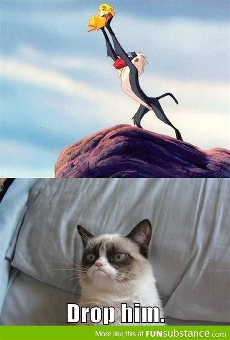 Your Grumpy Cat Lion King Picture Made Me Think Of This Funsubstance