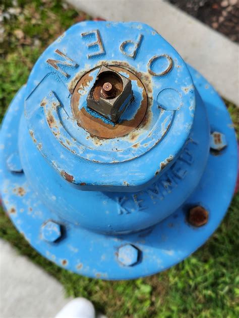 top of fire hydrant is blue visual images1 flickr