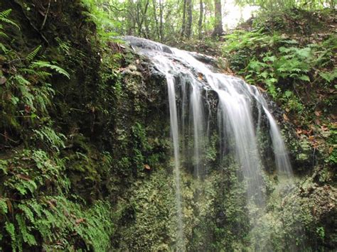 Visit Floridas Highest Waterfall At Falling Waters State Park In