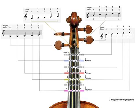 Resources Violin Sheet Music Cello Music Clarinet Music