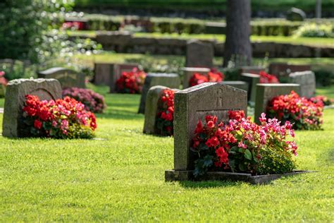 How To Find A Cemetery Plot 3 Important Steps You Need To Take For