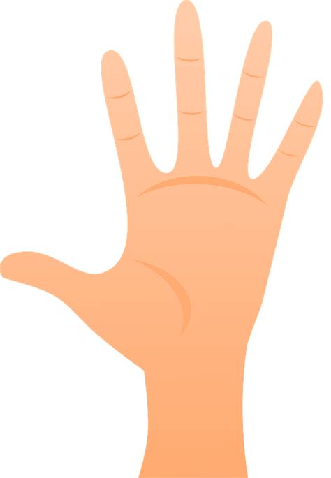 Open Hand Palm Side Clipart Free Download Transparent Png Creazilla