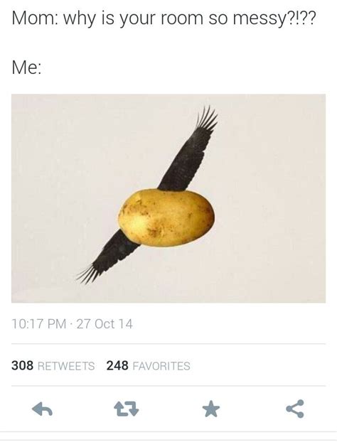 Repin if you get it If you don't: "A potato flew around my ...