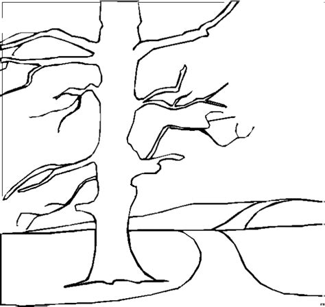 Kahler Einzelner Baum Ausmalbild & Malvorlage (Landschaften)