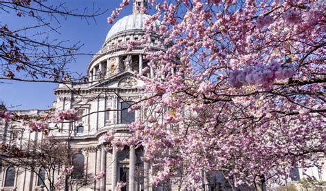The Best Things About Spring In London London Cheapo