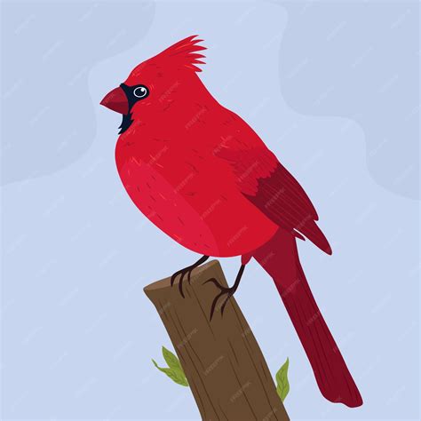 Ilustração De Pássaro Cardinal Desenhada à Mão Vetor Grátis