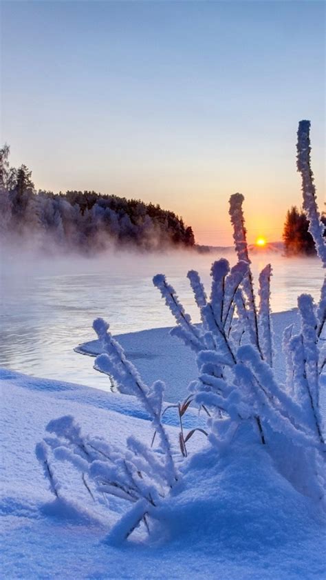 Wallpaper Nature Winter Sunset Trees Snow Ice River