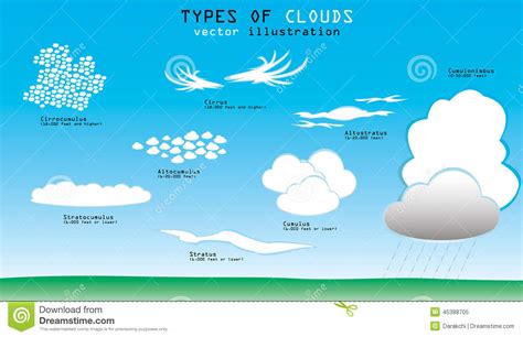 Types of clouds stock vector. Illustration of meteorology - 45388705
