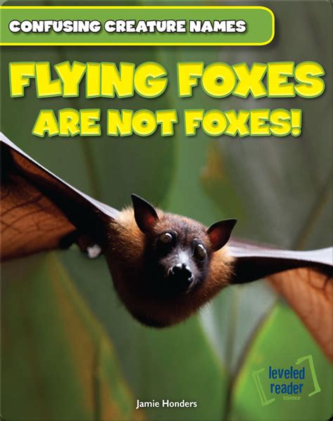 Flying Foxes Are Not Foxes Childrens Book By Jamie Honders Discover