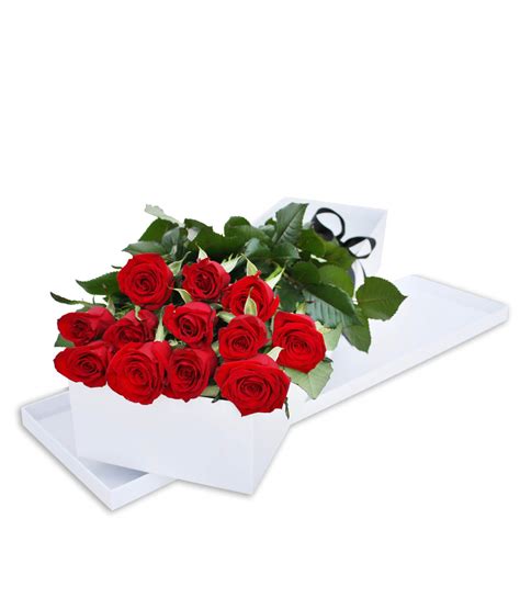 12 Long Stem Red Roses Box Terrafolia Flowers
