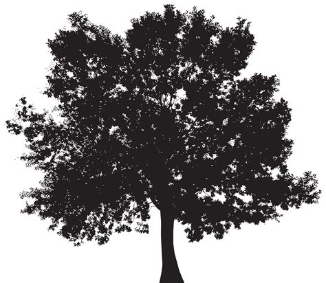free oak tree silhouette clip art 10 free Cliparts | Download images on