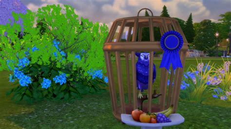 Sims 4 Pet Bird Mod Pervermont