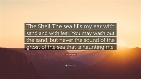 In the poem, taken from hughes's second collection, lupercal, a hawk is given the power of speech and thought, allowing the reader to imagine what it's like to inhabit the instincts, attitudes, and behaviors of such a creature. Ted Hughes Quote: "The Shell The sea fills my ear with sand and with fear. You may wash out the ...