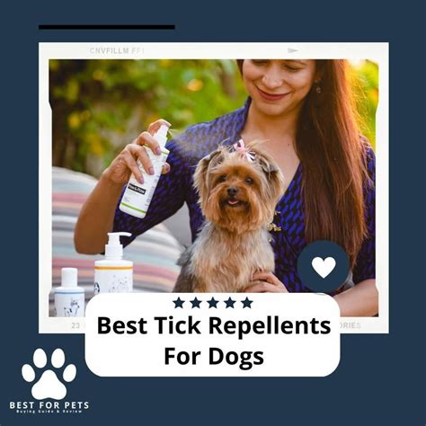 The 9 Best Tick Repellents For Dogs Of 2023 Bestforpets Vingle