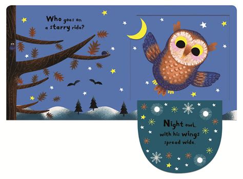 My Favourite Owl Uk Campbell Books Daniel Roode