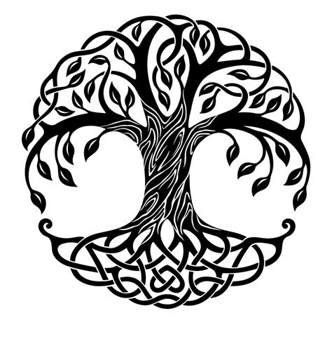 Tree Of Life Drawing Tree Art Symmetry Png Image Drawing Celtic