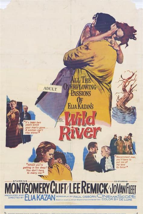 Wild River 1960 Montgomery Clift Dvd Elvis Dvd Collector And Movies