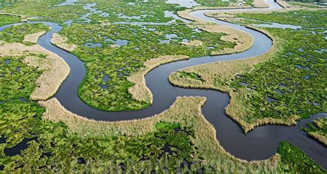Aerialstock Aerial Photo Wetlands Louisiana