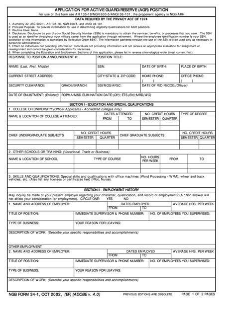Ngb Form Fillable Printable Forms Free Online