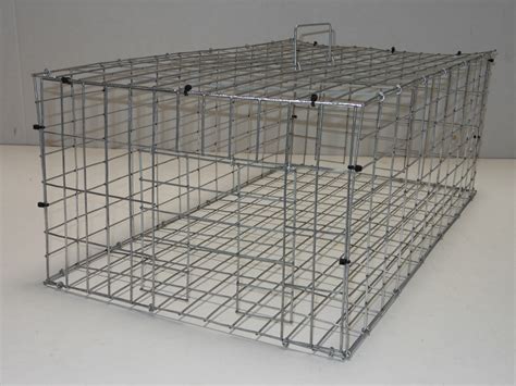Pigeons are about as common as asphalt on city streets throughout the world. Pigeon Traps | SWCage