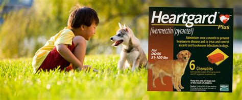 It may be beneficial for you to check with us before purchasing your pet's medication from another source. Pet Care & Pharmacy - Discount Pet Meds Online ...