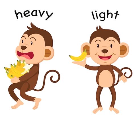Free Vector Opposite Adjectives Heavy And Light