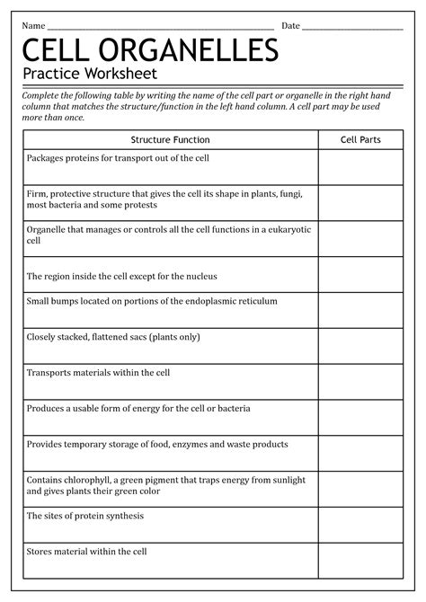 Parts Of An Animal Cell Superstar Worksheets Animal Cell Labeling