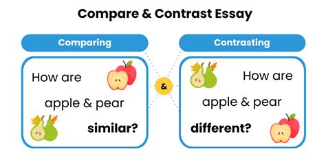 Essay Writing Help Compare Contrast How To Write Compare And Contrast