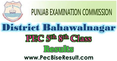 District Bahawalnagar 5th 8th Class Result 2018 Pec Bise Result