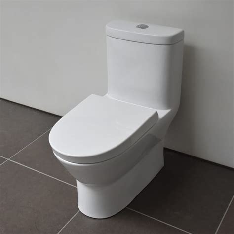 Dual Flush Elongated 1 Piece Toiletwith Soft Closing Toliet Seat Na