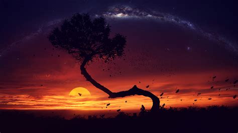 2560x1440 Evening Tree Sunset Digital Art 1440p Resolution Hd 4k