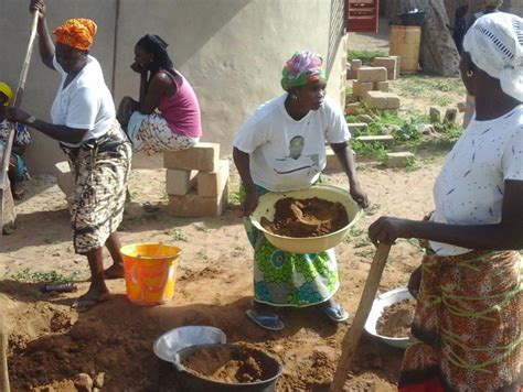 Grain Recherche Paysanne Au Sénégal Sur La Sauvegarde Des Variétés Du Mil