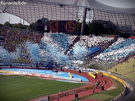The first stadium we visited were the olympiapark in munich. TSV 1860 München | 1860 münchen, Tsv 1860, München