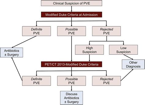 New Diagnostic Approaches In Infective Endocarditis Heart