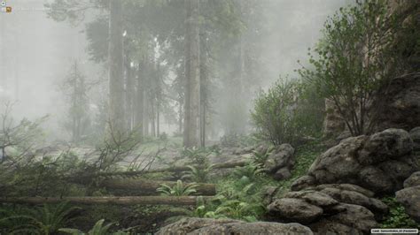 The Forest V15 In Environments Ue Marketplace