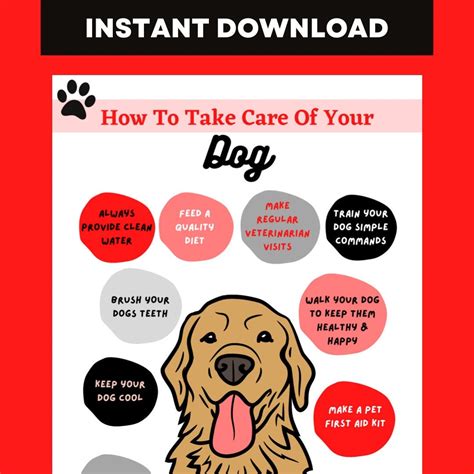 How To Take Care Of Your Dog Wall Art Poster For Dog Owners Vets And