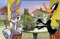 daffy looney tunes weed